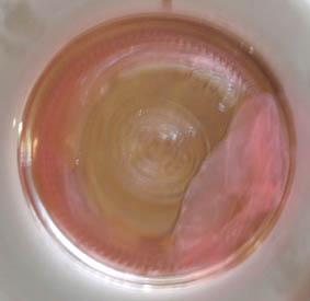 c0006164_11142916.jpg