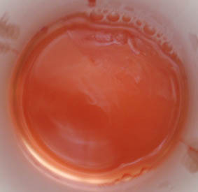 c0006164_11185095.jpg