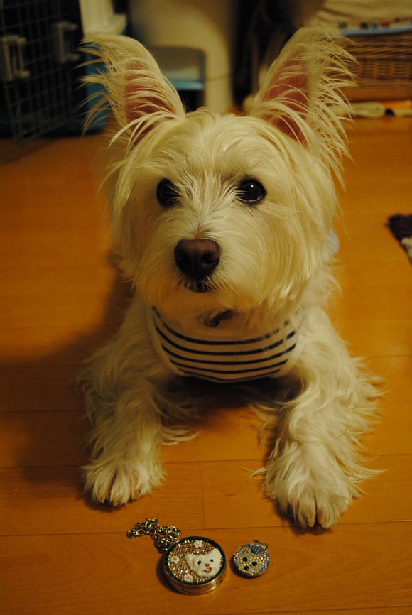 b0242873_034111.jpg