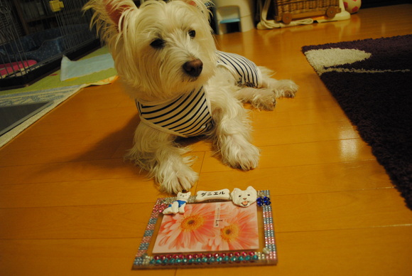 b0242873_0344439.jpg