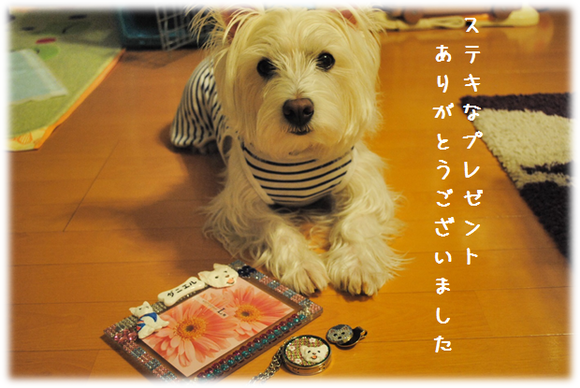 b0242873_04292.png