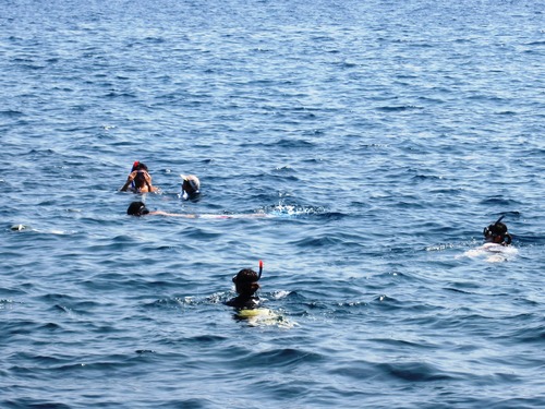 c0204385_1371733.jpg