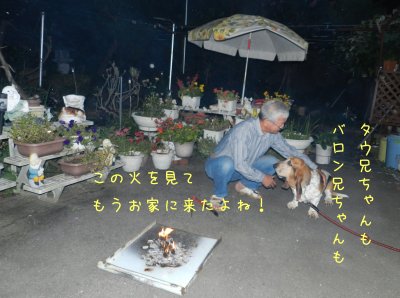 f0205887_22533616.jpg