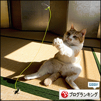 人気ブログランキングへ