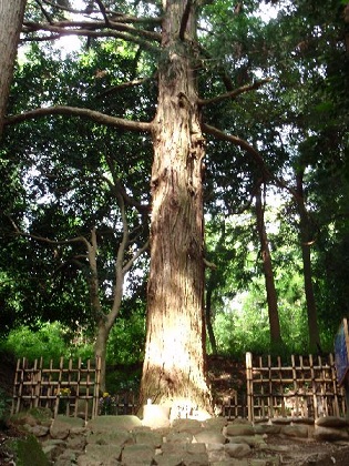 d0069498_215429100.jpg