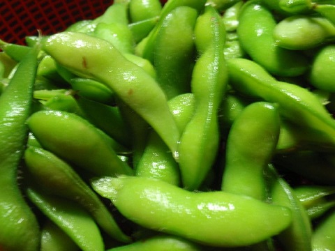 d0069498_2226411.jpg