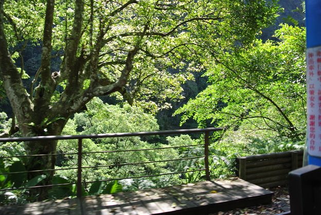 b0009106_22112224.jpg