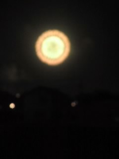 b0085408_22325164.jpg