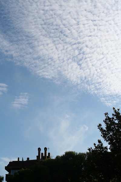 b0064411_655429.jpg