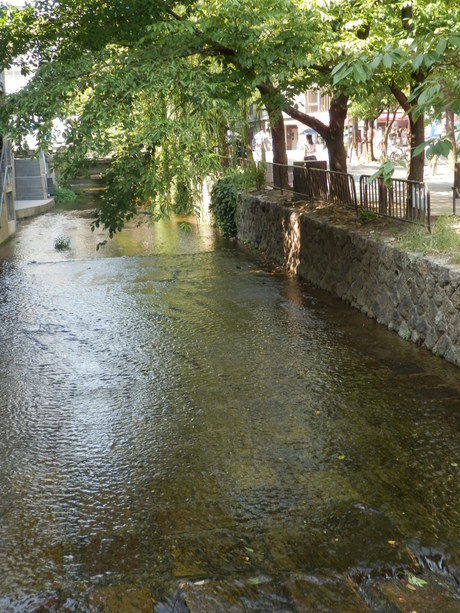 c0062511_2255152.jpg