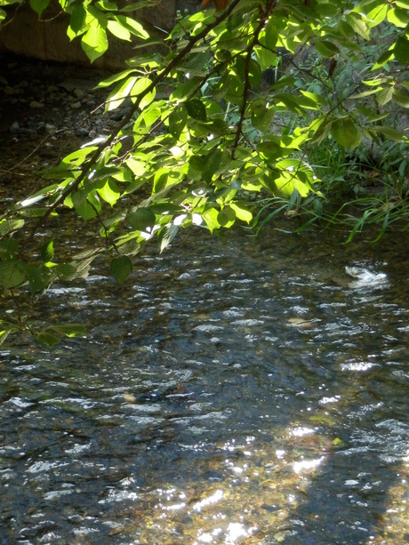 c0062511_2263070.jpg
