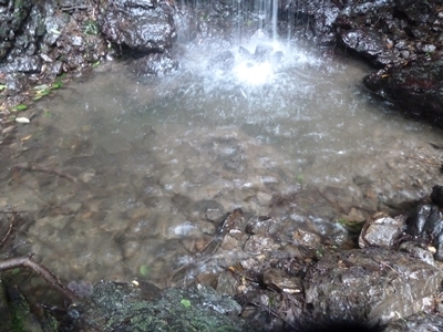 e0284019_2229349.jpg