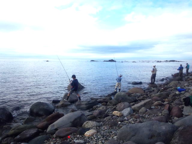 b0128821_20551176.jpg