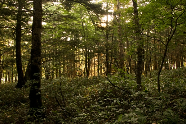 f0040525_2012538.jpg