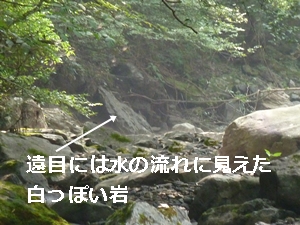 e0033229_9413874.jpg