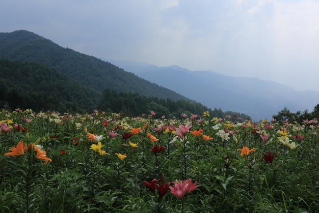 f0017530_22201259.jpg