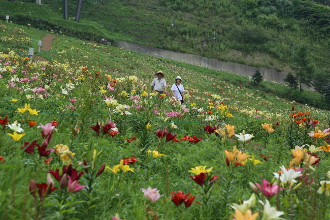 f0017530_22211018.jpg