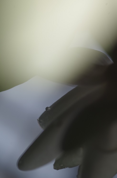 d0165741_14525569.jpg