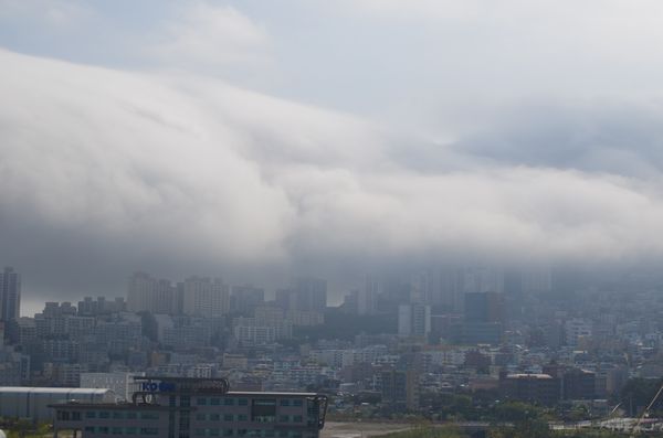 e0098241_1444313.jpg