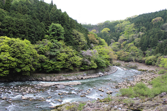 a0307547_23285912.jpg