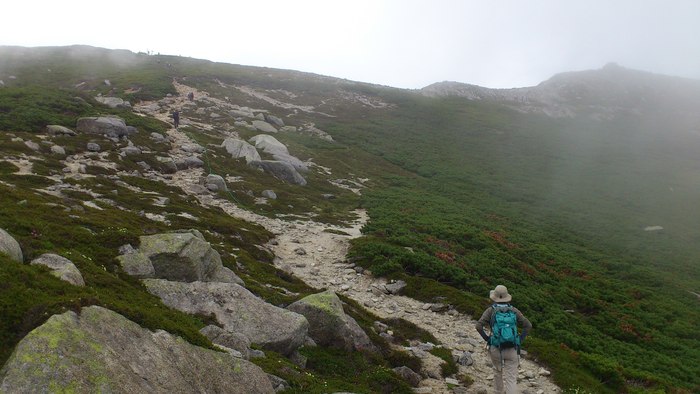 b0148050_8364167.jpg