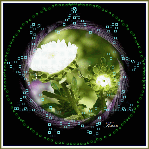 b0133752_1665735.gif