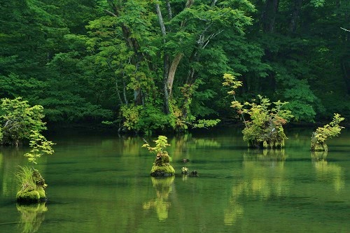 c0294658_723121.jpg