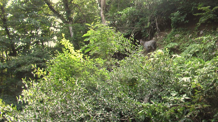 b0208961_13205436.jpg