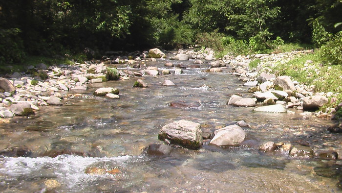 b0208961_9424675.jpg