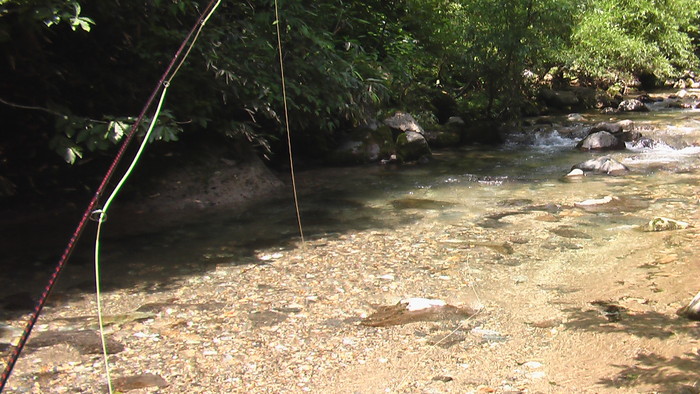 b0208961_9432515.jpg