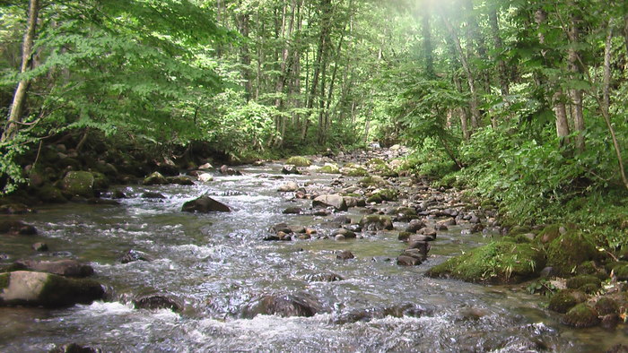 b0208961_9443752.jpg