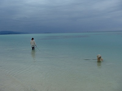a0104162_20121435.jpg