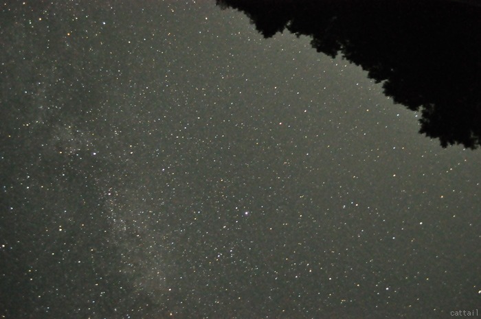 e0125762_19271266.jpg