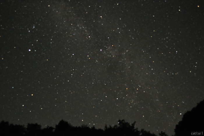 e0125762_19402658.jpg