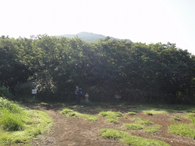 d0182075_19384329.jpg