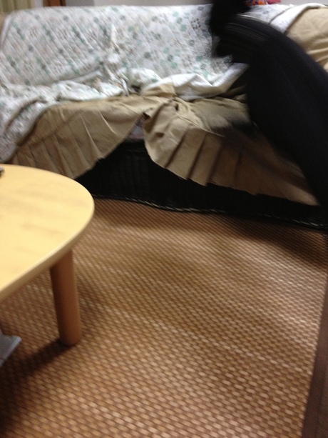 c0283778_1755377.jpg