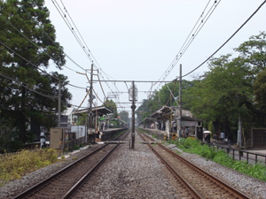 d0124878_8445429.jpg
