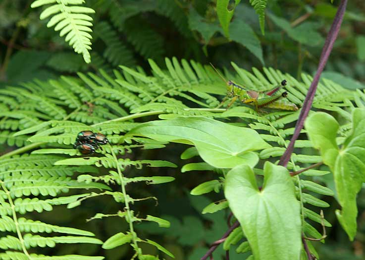 b0057679_961219.jpg