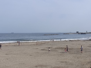 a0258087_19254093.jpg