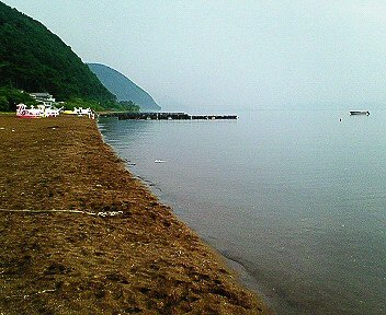 c0014187_2162264.jpg