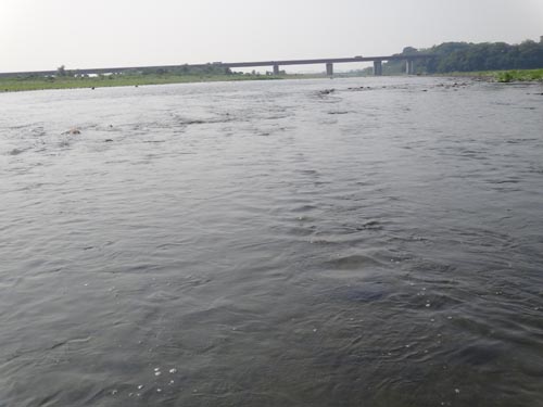 c0146788_831344.jpg