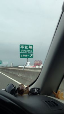 d0235288_843871.jpg