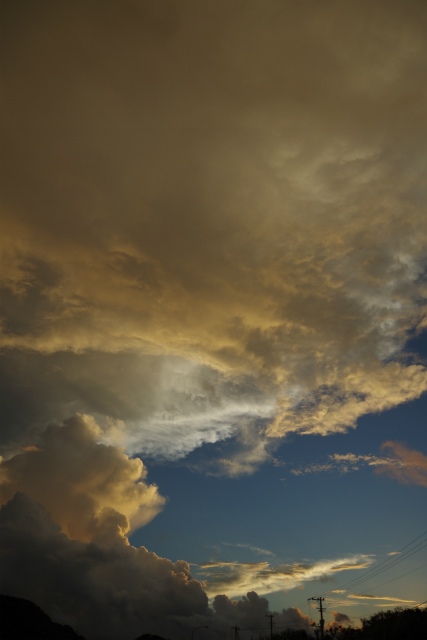 d0286391_1414465.jpg