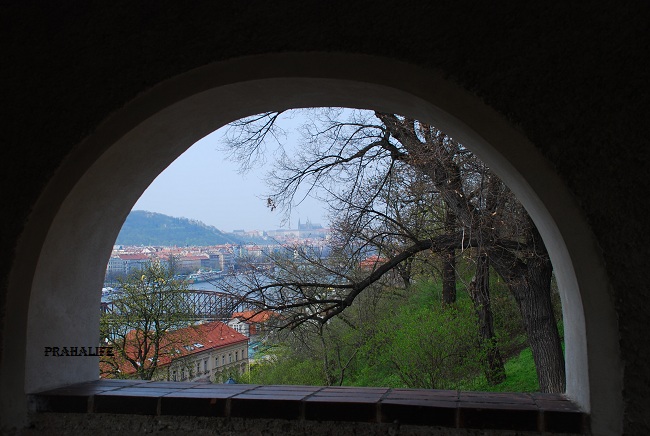 e0151592_4391.jpg