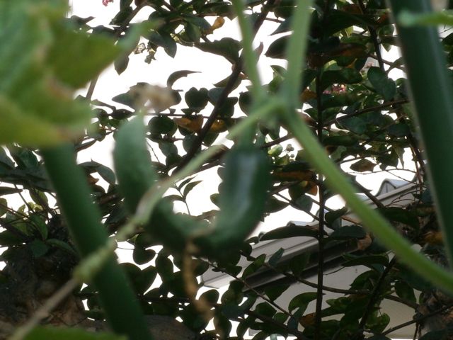 f0130894_22115521.jpg
