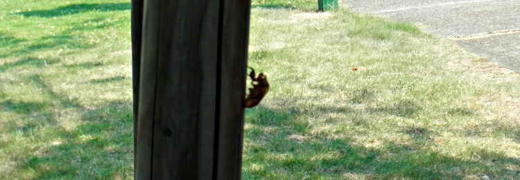 c0168096_7292851.jpg