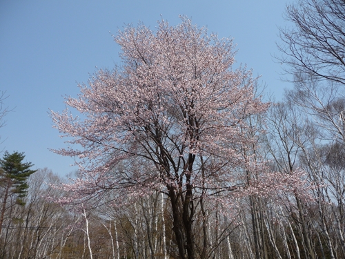 f0256400_1416478.jpg