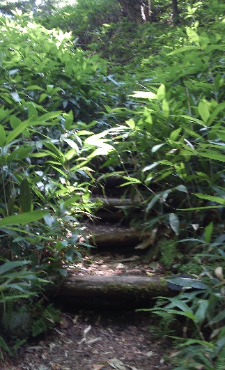 d0299604_16242649.jpg