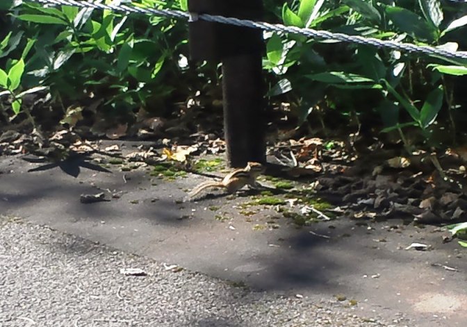e0271804_2242639.jpg