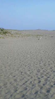 e0123206_1674646.jpg